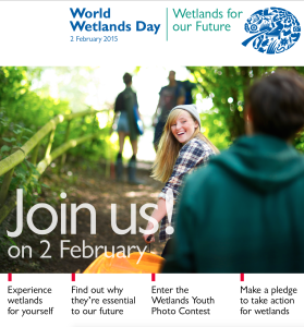 World Wetlands Day Poster